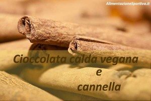 Cioccolata calda vegan con cannella