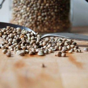 Farina Semi di Canapa: Uso In Cucina, Proprietà, Valori Nutrizionali