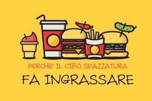 Perché il cibo spazzatura fa ingrassare