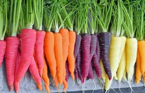 integratori naturali di vitamine carote