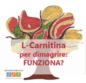 Carnitina per dimagrire: serve davvero per perdere peso?