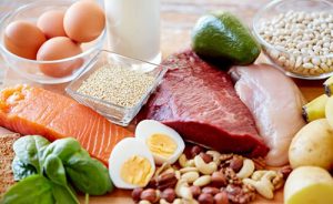 Alimenti Che Contengono Proteine